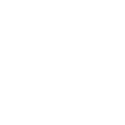 ce logo Santee
